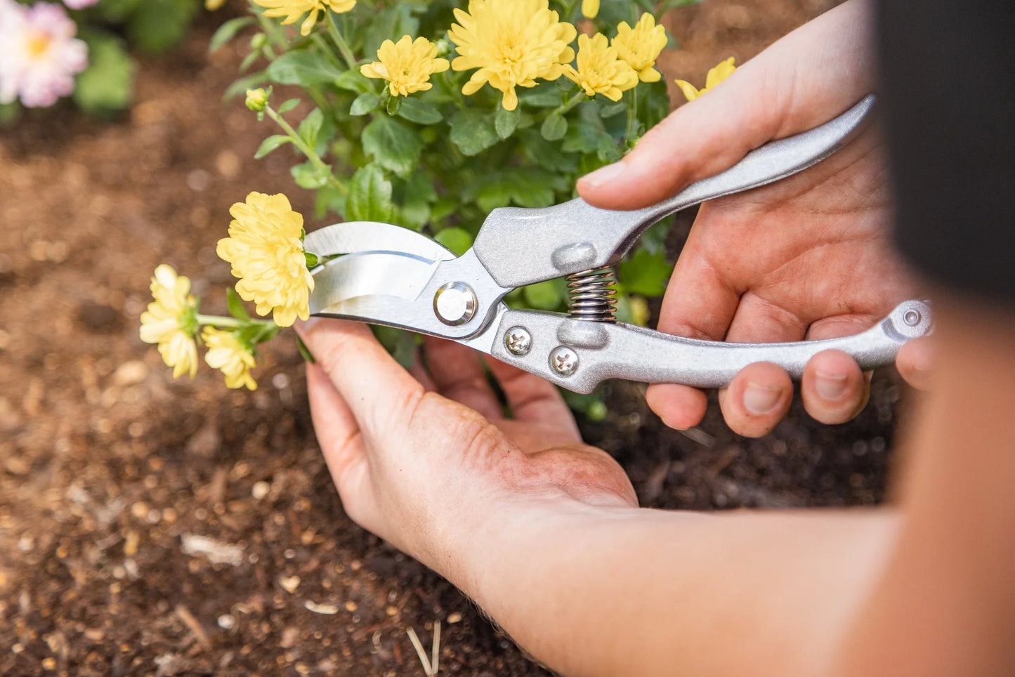 , 9-Piece Stainless Steel Gardening Tool Set