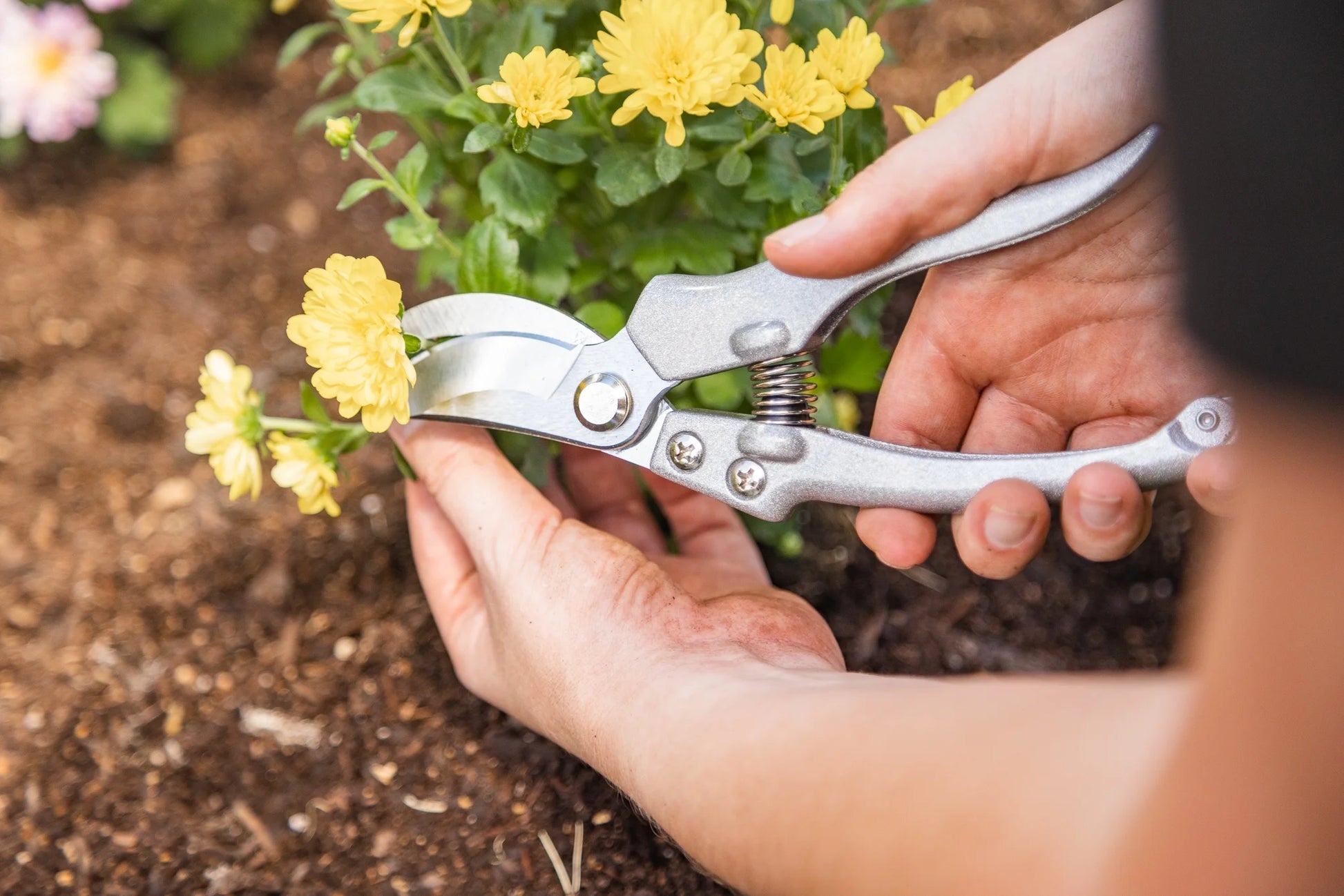 , 9-Piece Stainless Steel Gardening Tool Set