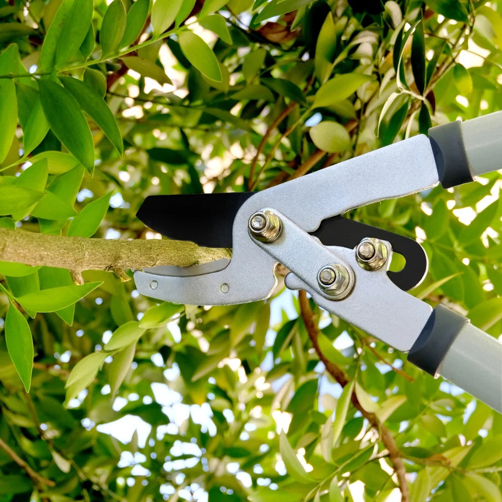 Loppers ,Hedge Clipper and Pruner, Garden Pruning Shears Set