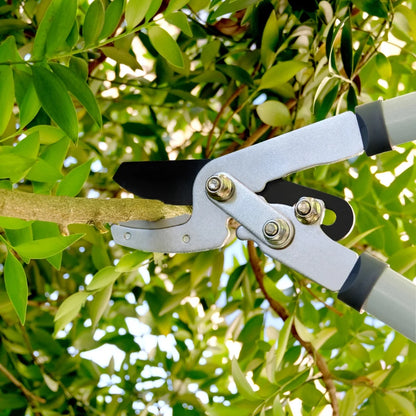 Loppers ,Hedge Clipper and Pruner, Garden Pruning Shears Set